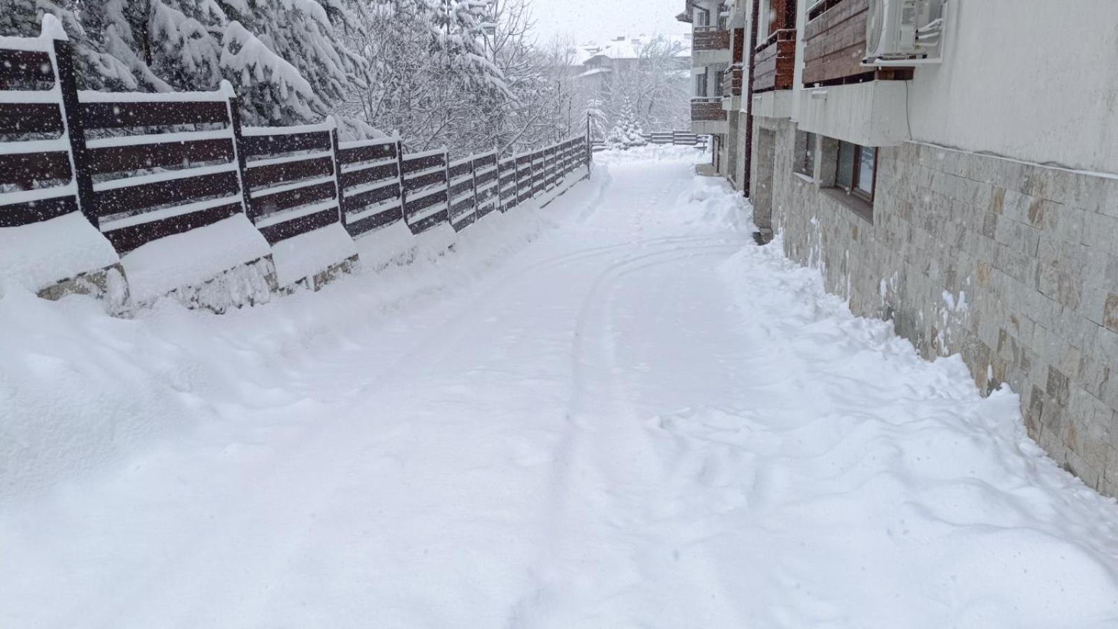 Apartment Detelina Residence Bansko Exterior foto
